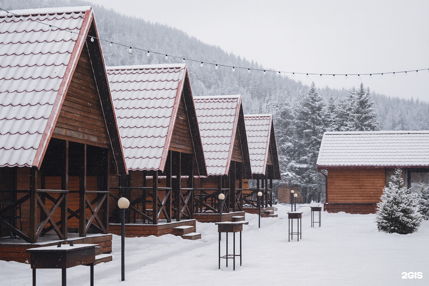 Кедровый берег - фото 14