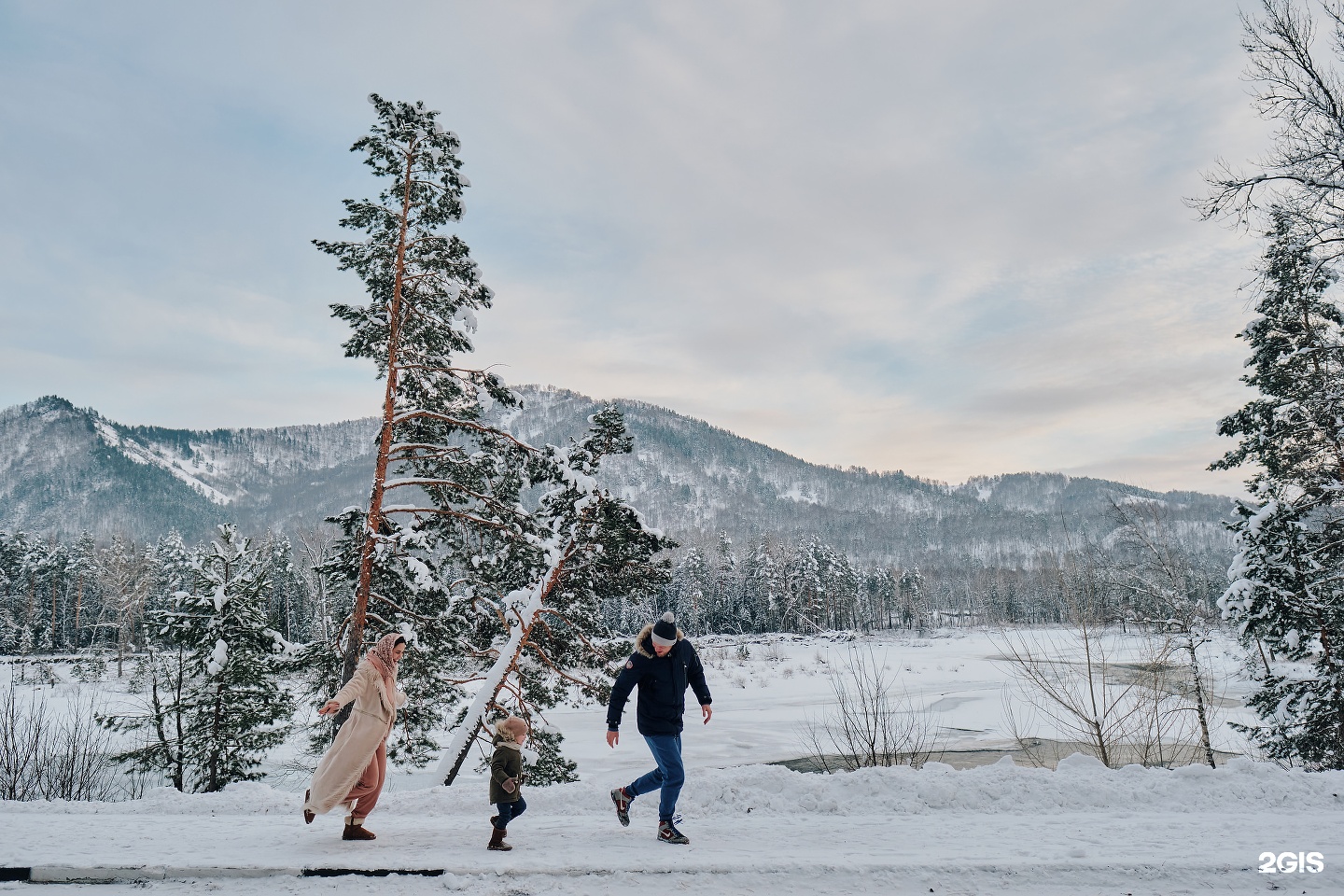 Кедровый берег - фото 18