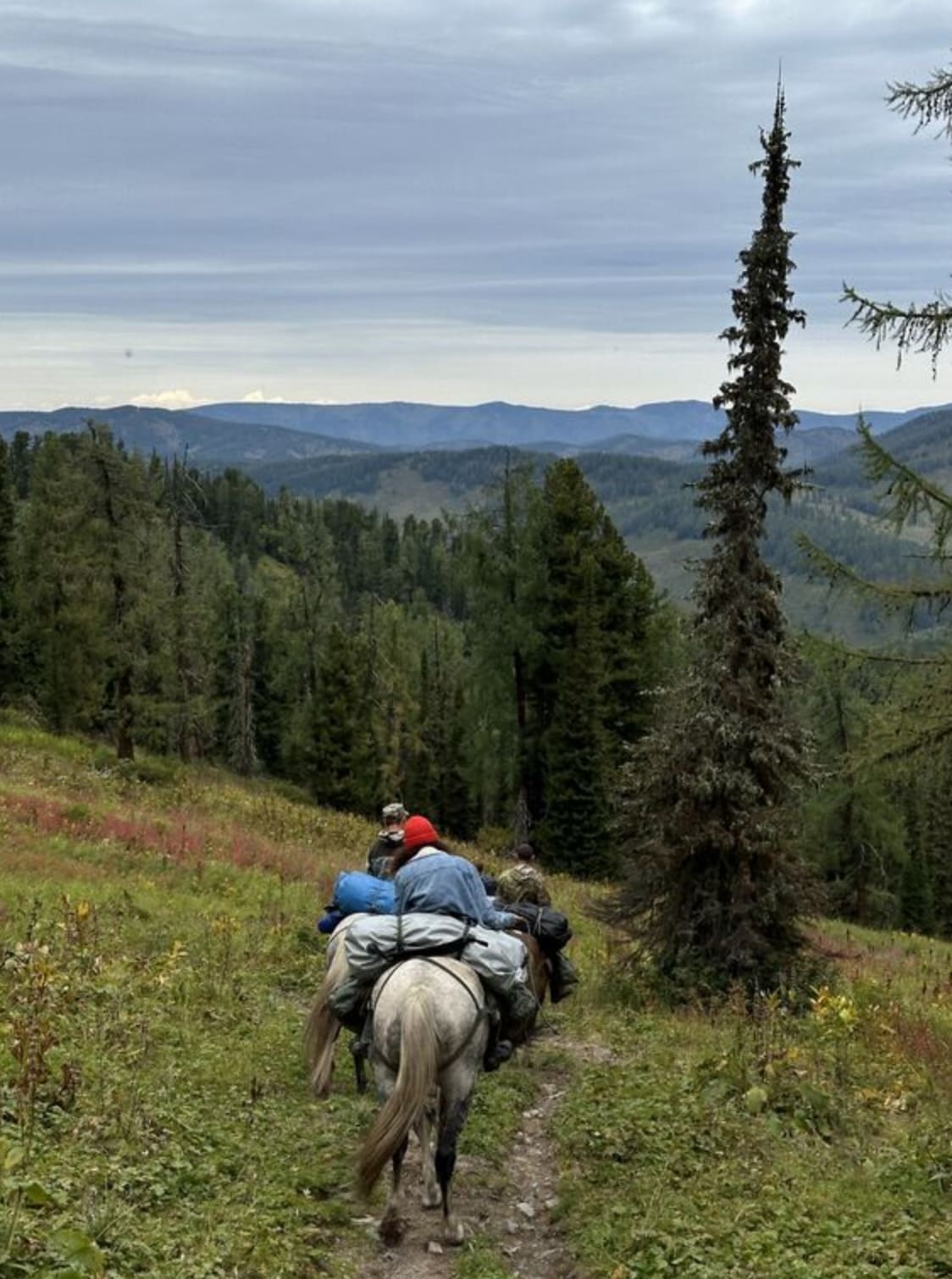 Тайные виды на гору Красная - фото 9