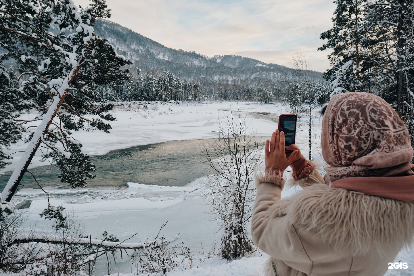 Кедровый берег - фото 45