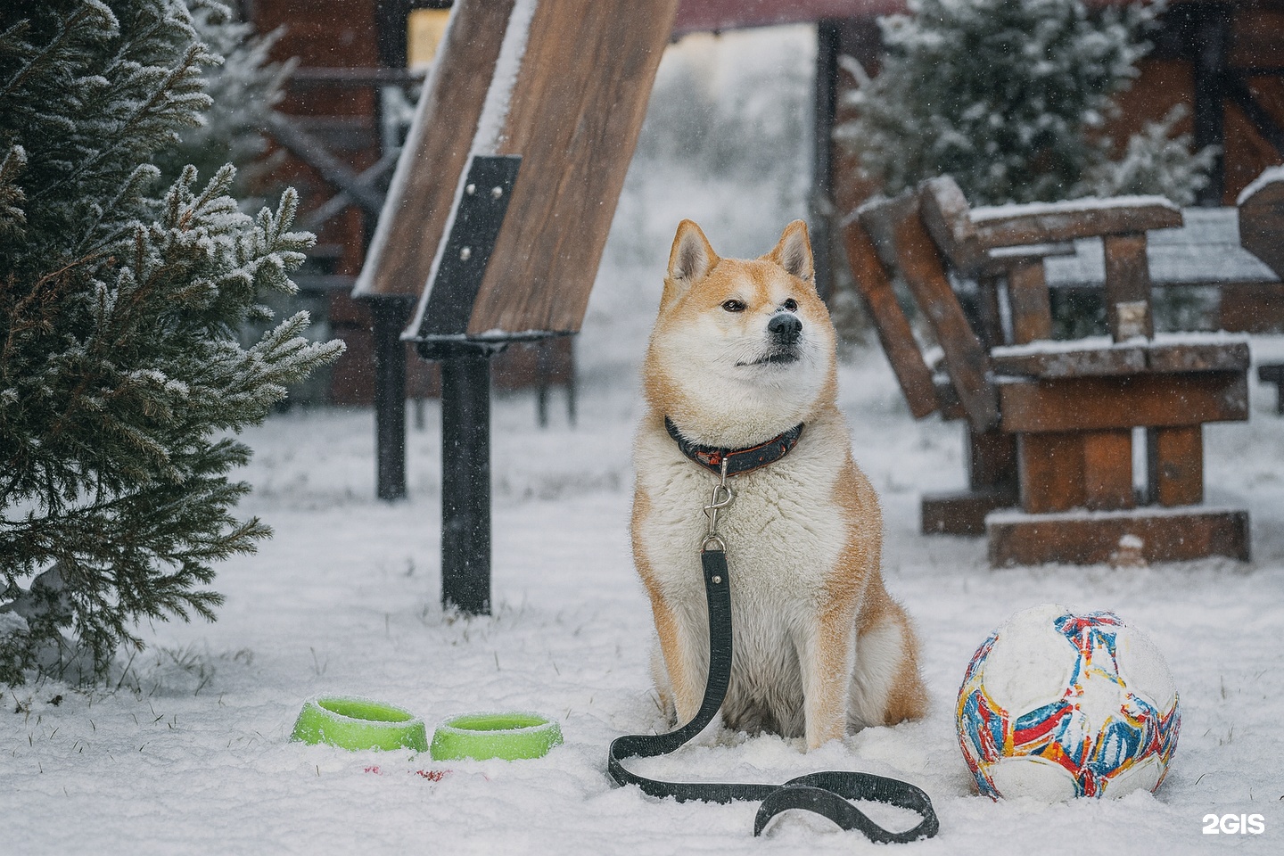 Кедровый берег - фото 82