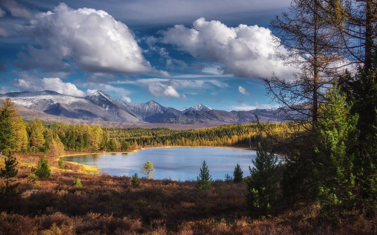 Кольцевой тур по Алтаю - УВИДЕТЬ ВСЁ - фото 5