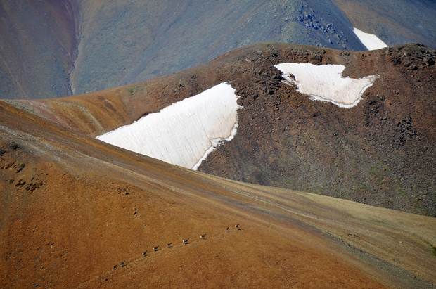 “Созвездие трёх Архаров” - фото 3