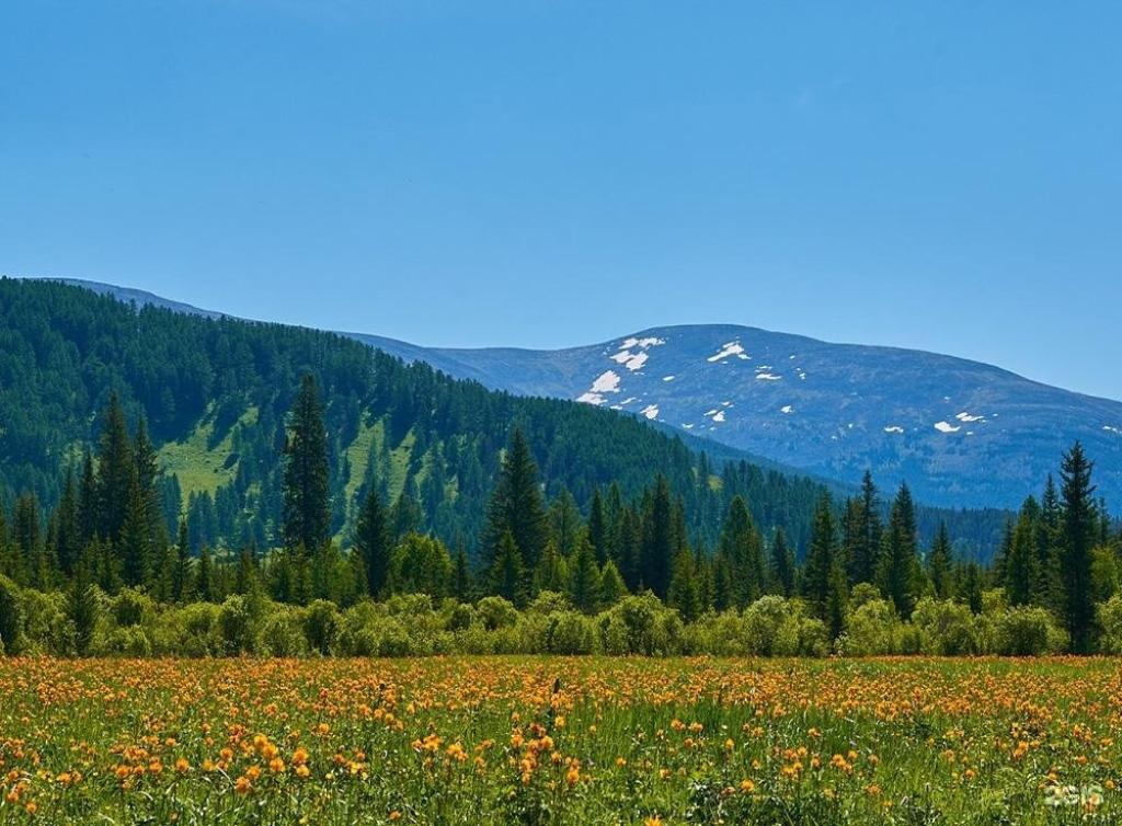 Чыгыш. Отдых на Алтае - фото 9