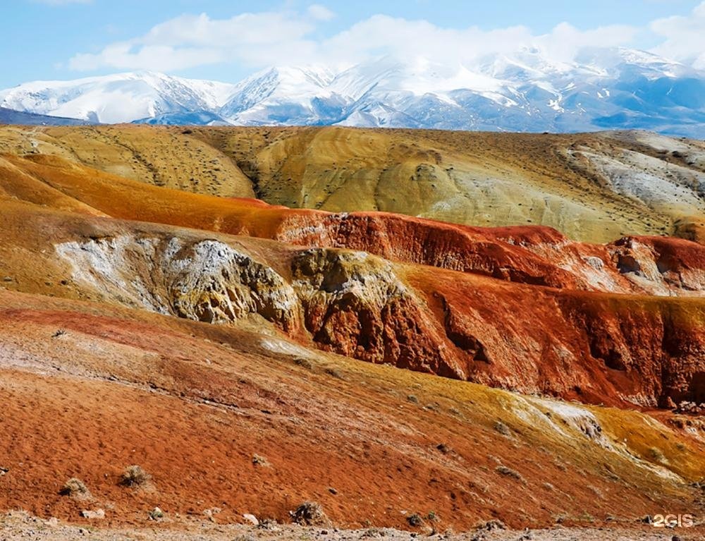 Чыгыш. Отдых на Алтае - фото 10