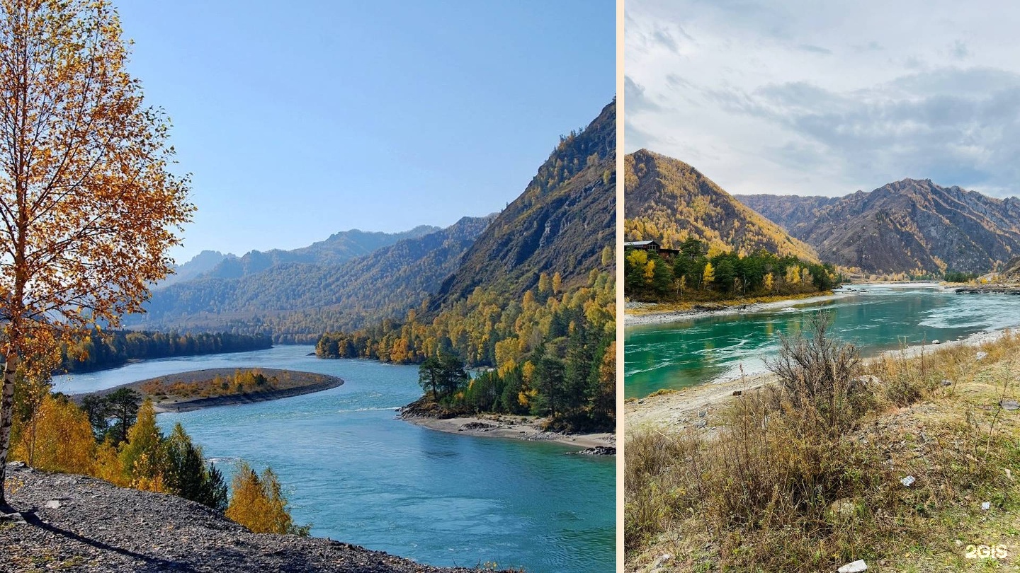 Чыгыш. Отдых на Алтае - фото 37