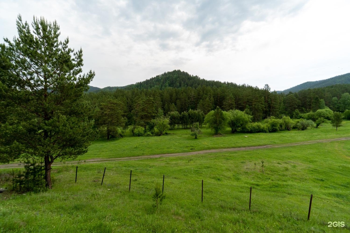 Чыгыш. Отдых на Алтае - фото 52