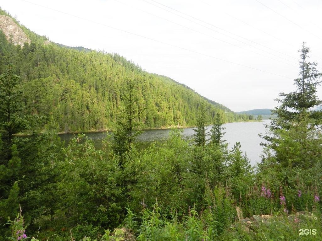 Чыгыш. Отдых на Алтае - фото 58