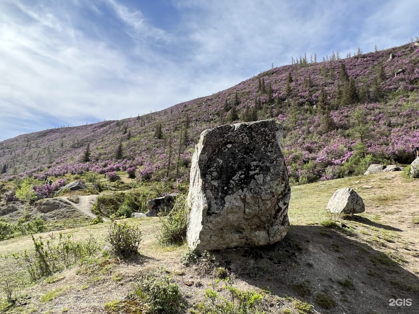 Чыгыш. Отдых на Алтае - фото 67