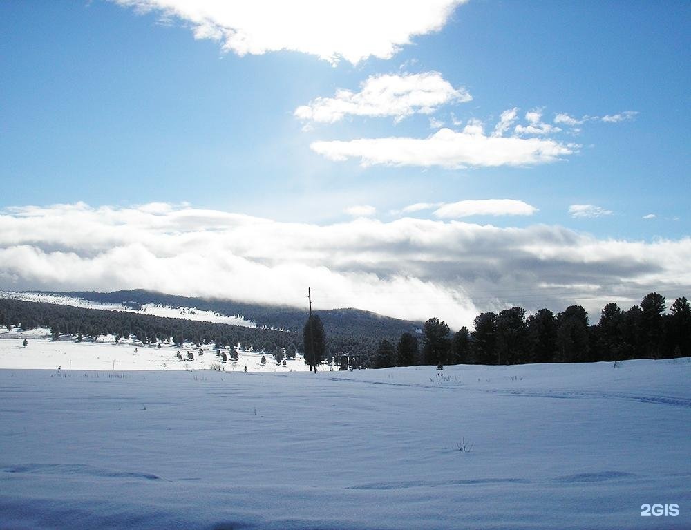 Чыгыш. Отдых на Алтае - фото 69