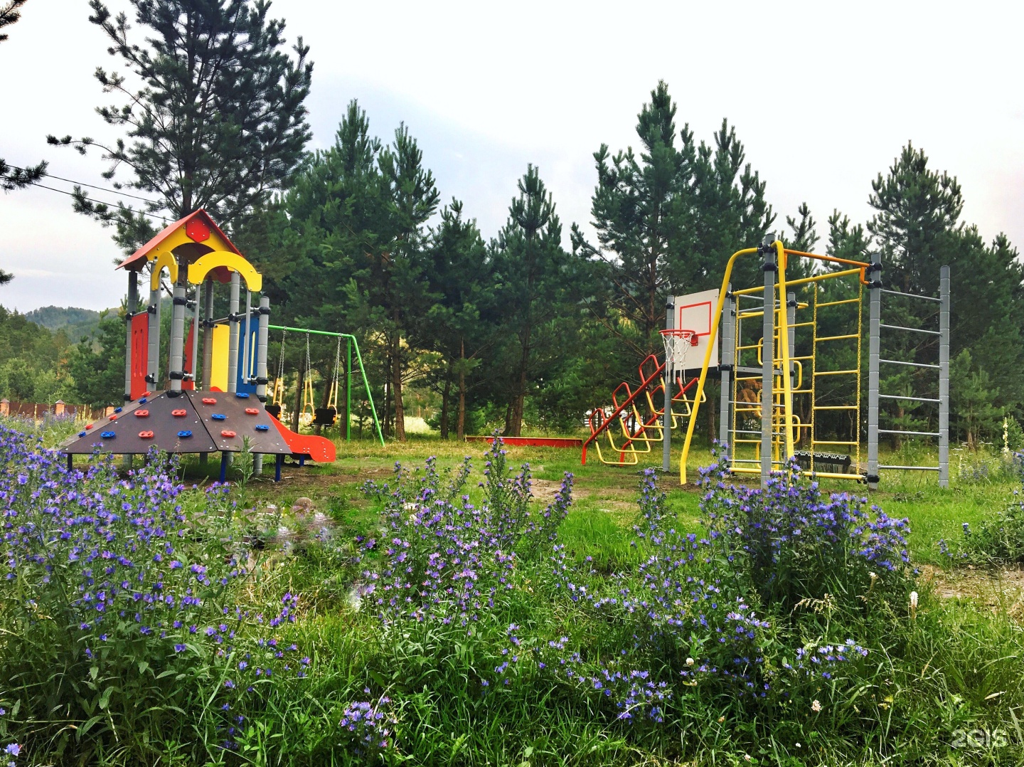 Чыгыш. Отдых на Алтае - фото 78