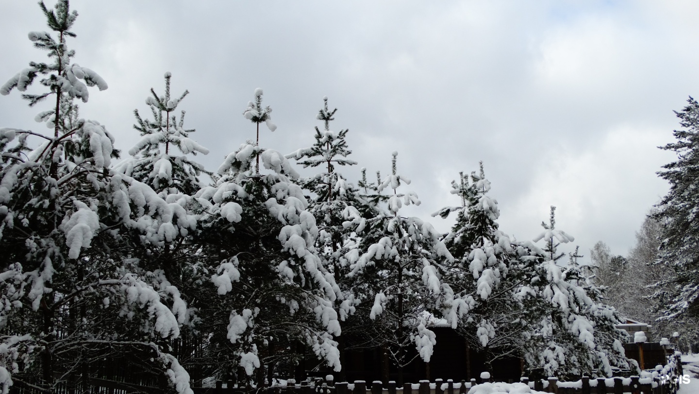 Чыгыш. Отдых на Алтае - фото 81