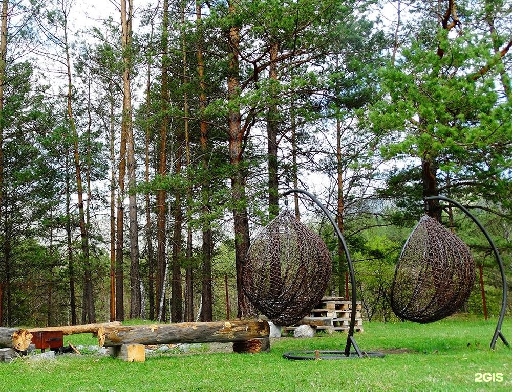 Чыгыш. Отдых на Алтае - фото 94