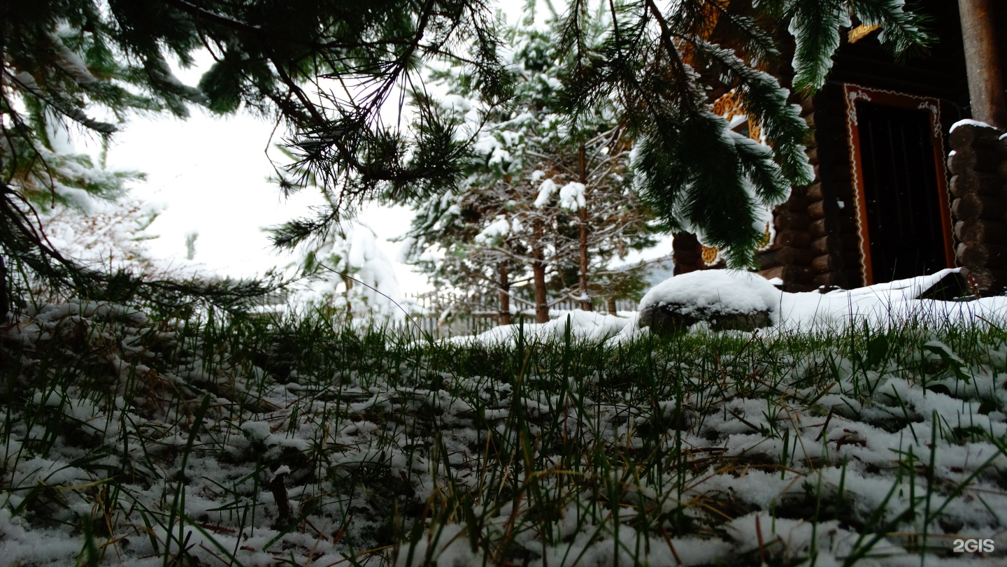 Чыгыш. Отдых на Алтае - фото 103