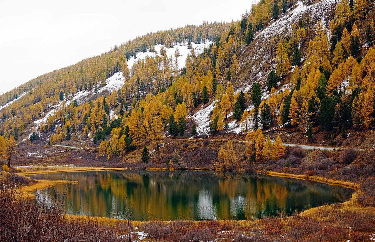 "Золото Алтая", осенний тур - фото 8