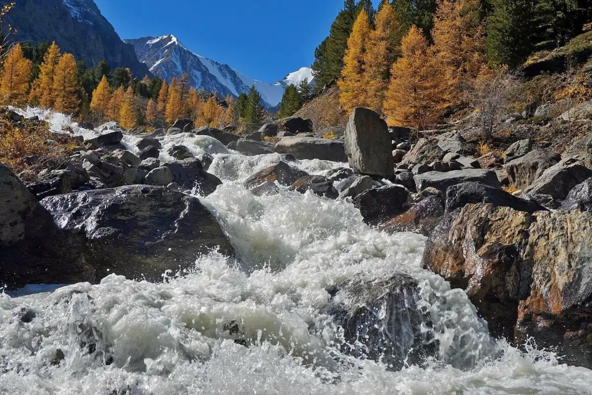 "Серебро Алтая", треккинг без рюкзаков к ледникам Актру. - фото 8