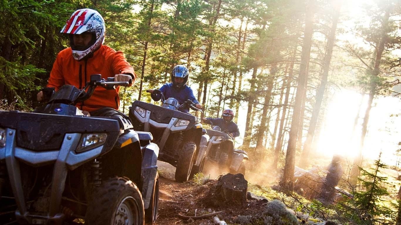 Тайга&Озеро - фото 34