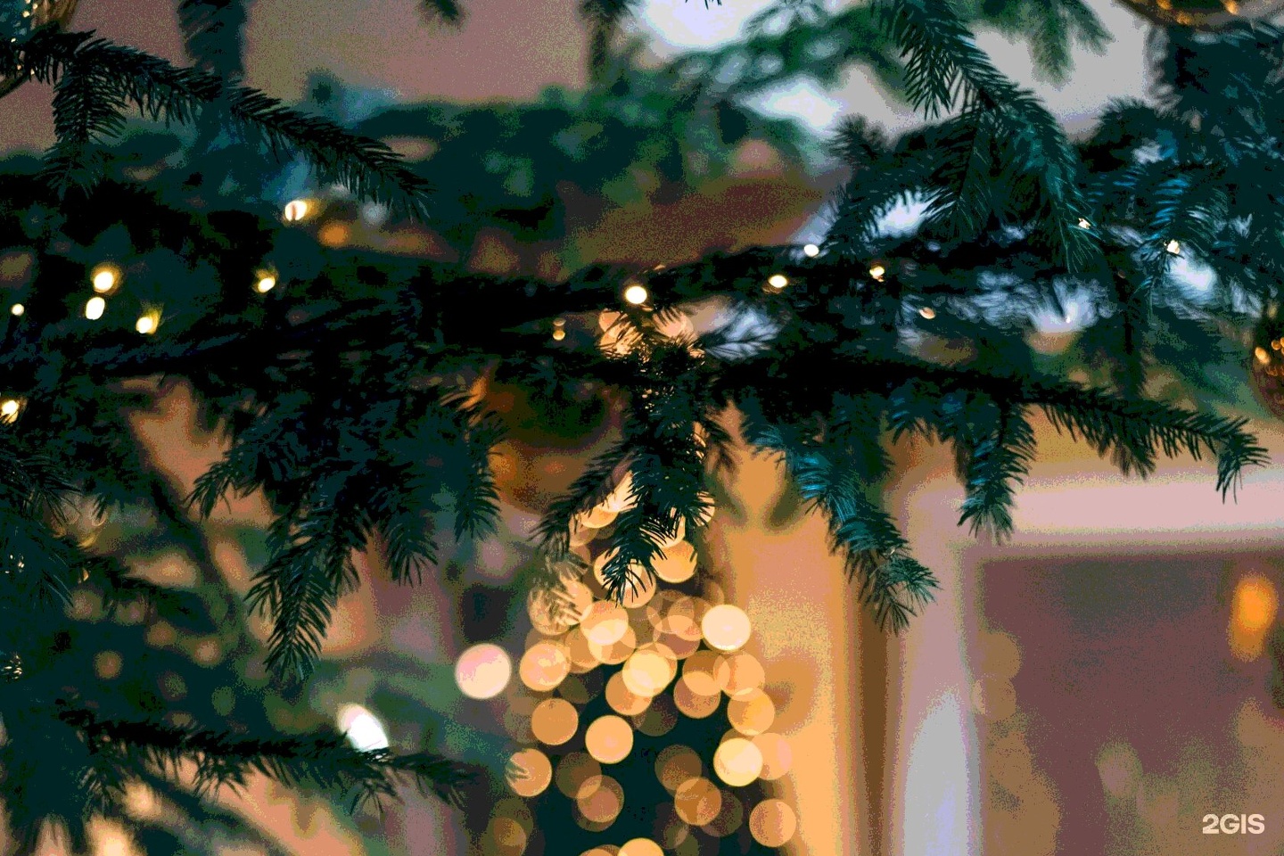 Тайга&Озеро - фото 38