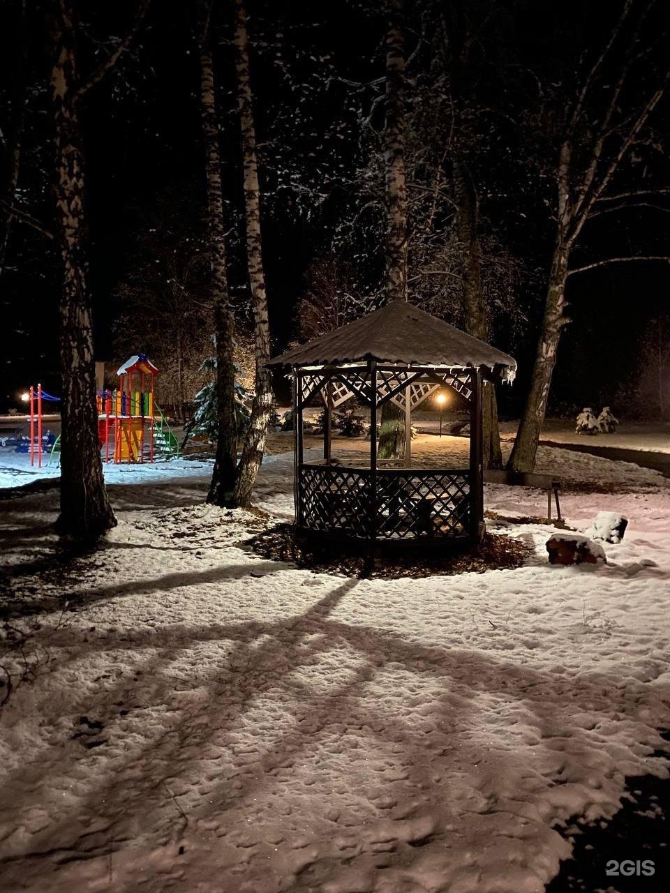 Берёзка - фото 3