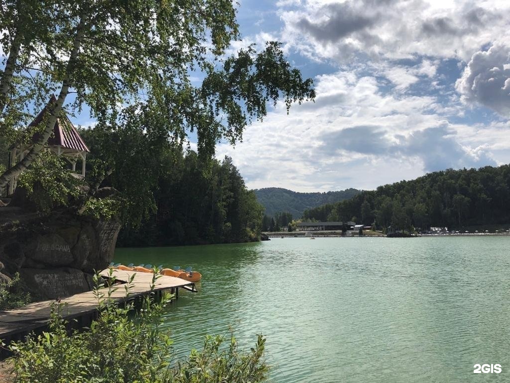 Берёзка - фото 22