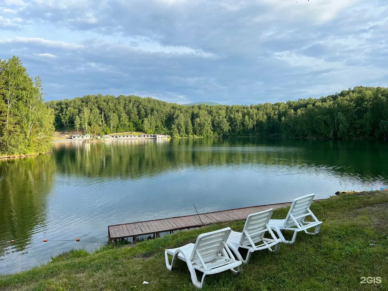 Берёзка - фото 26