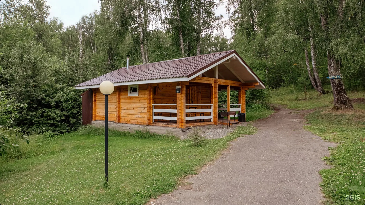 Берёзка - фото 31