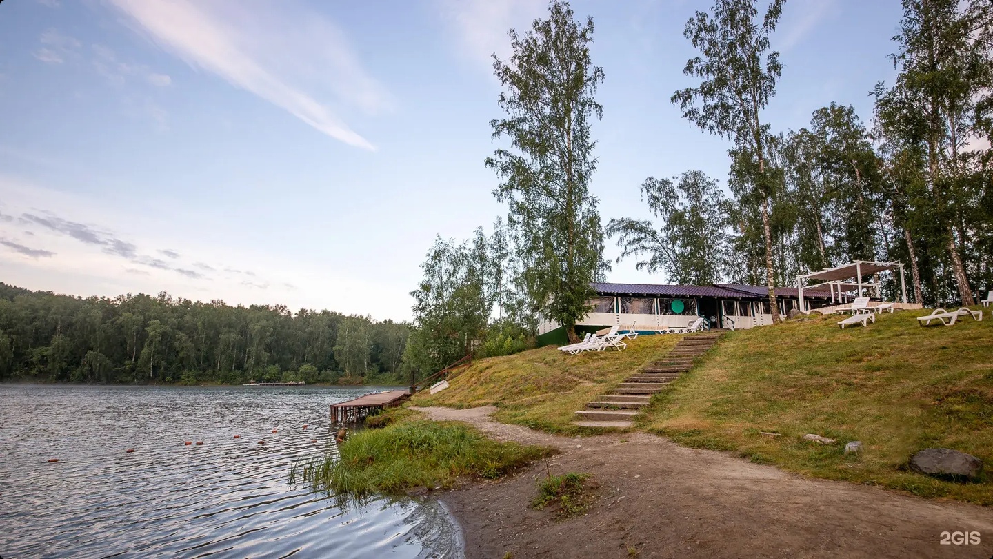 Берёзка - фото 33