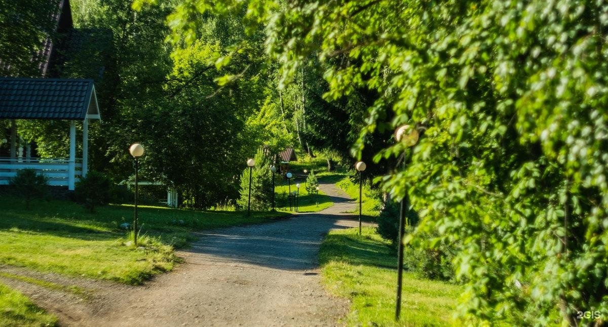 Берёзка - фото 37