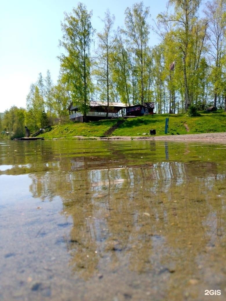 Берёзка - фото 38