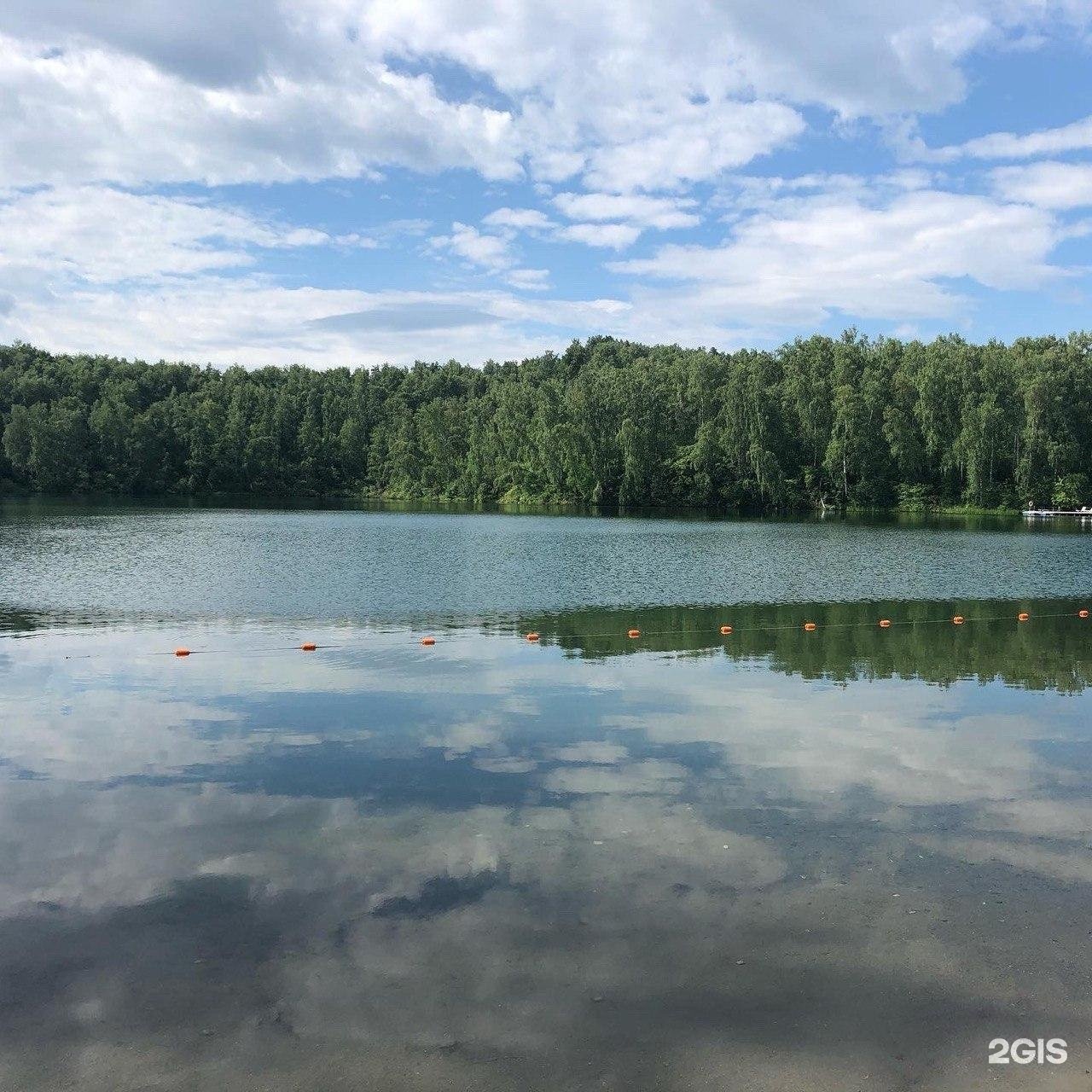 Берёзка - фото 40