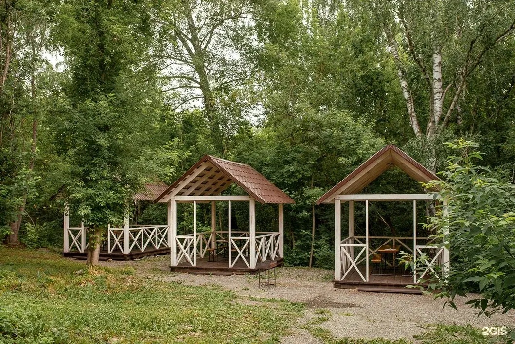 Берёзка - фото 41