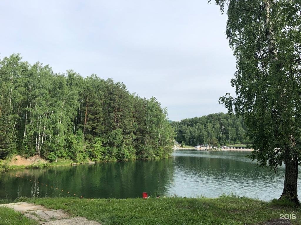 Берёзка - фото 42