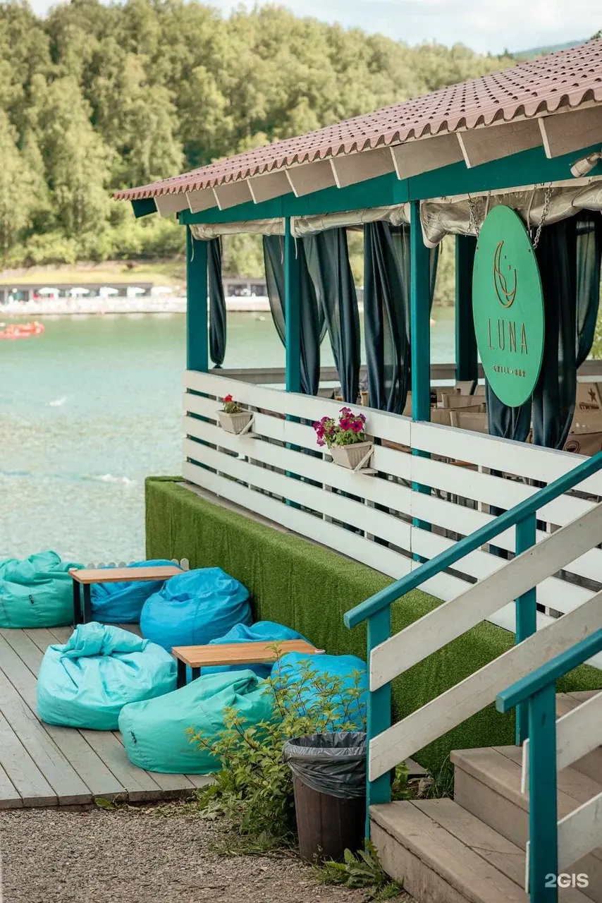 Берёзка - фото 43