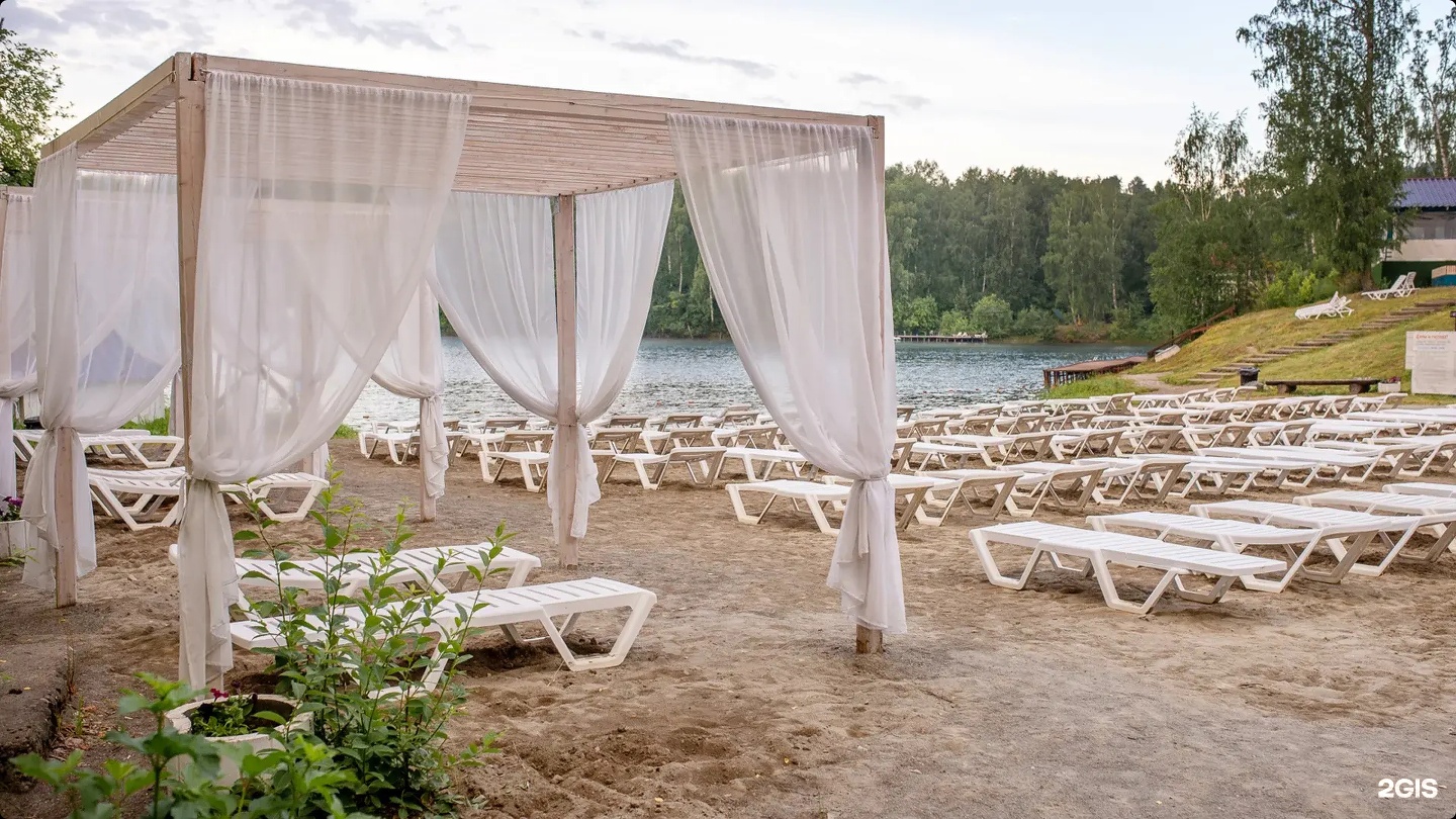 Берёзка - фото 46