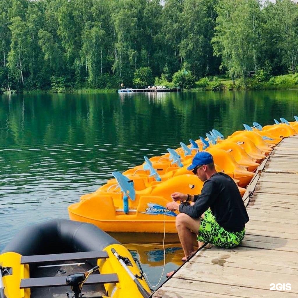 Берёзка - фото 47