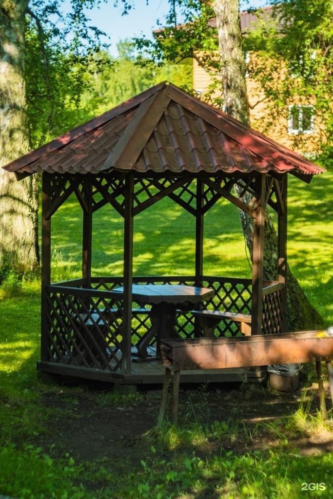 Берёзка - фото 48