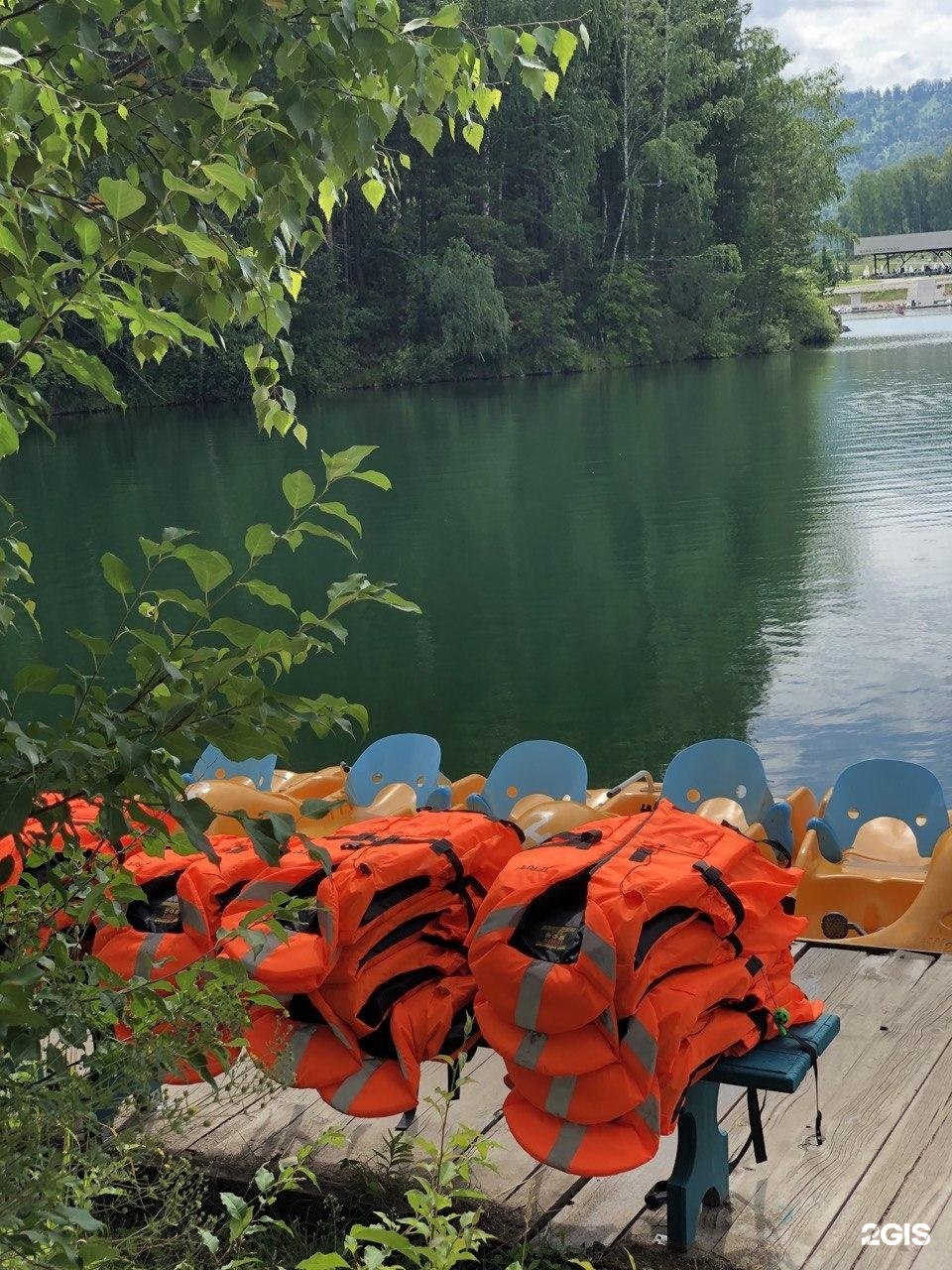 Берёзка - фото 51