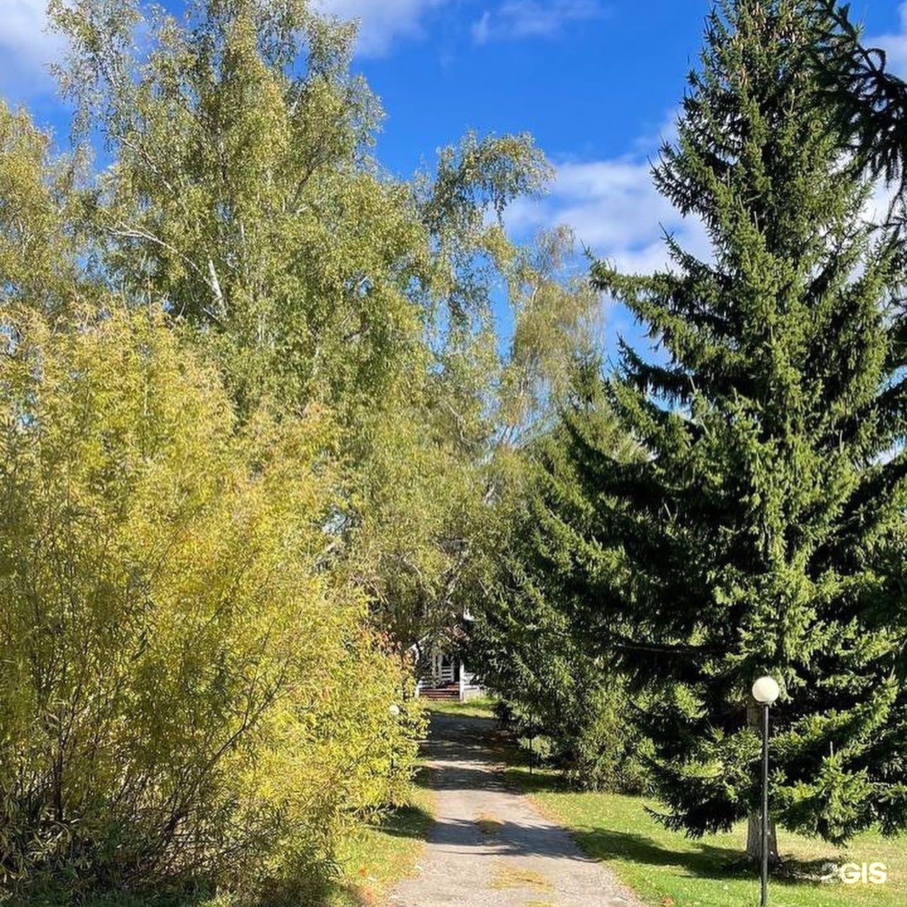 Берёзка - фото 53