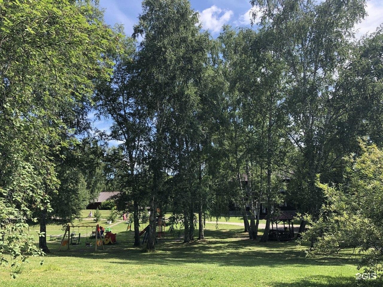 Берёзка - фото 54