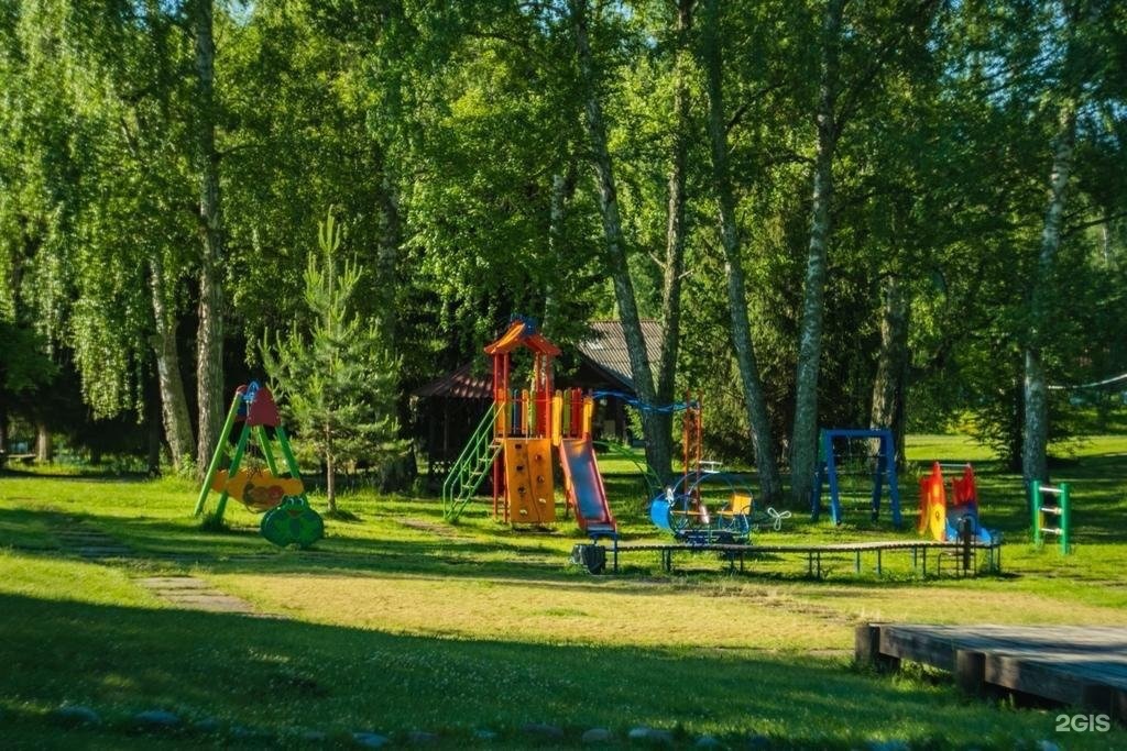 Берёзка - фото 55