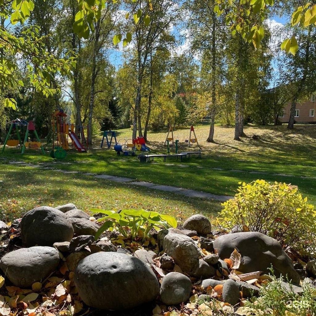 Берёзка - фото 56