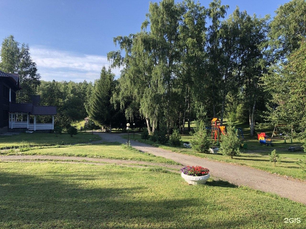 Берёзка - фото 62