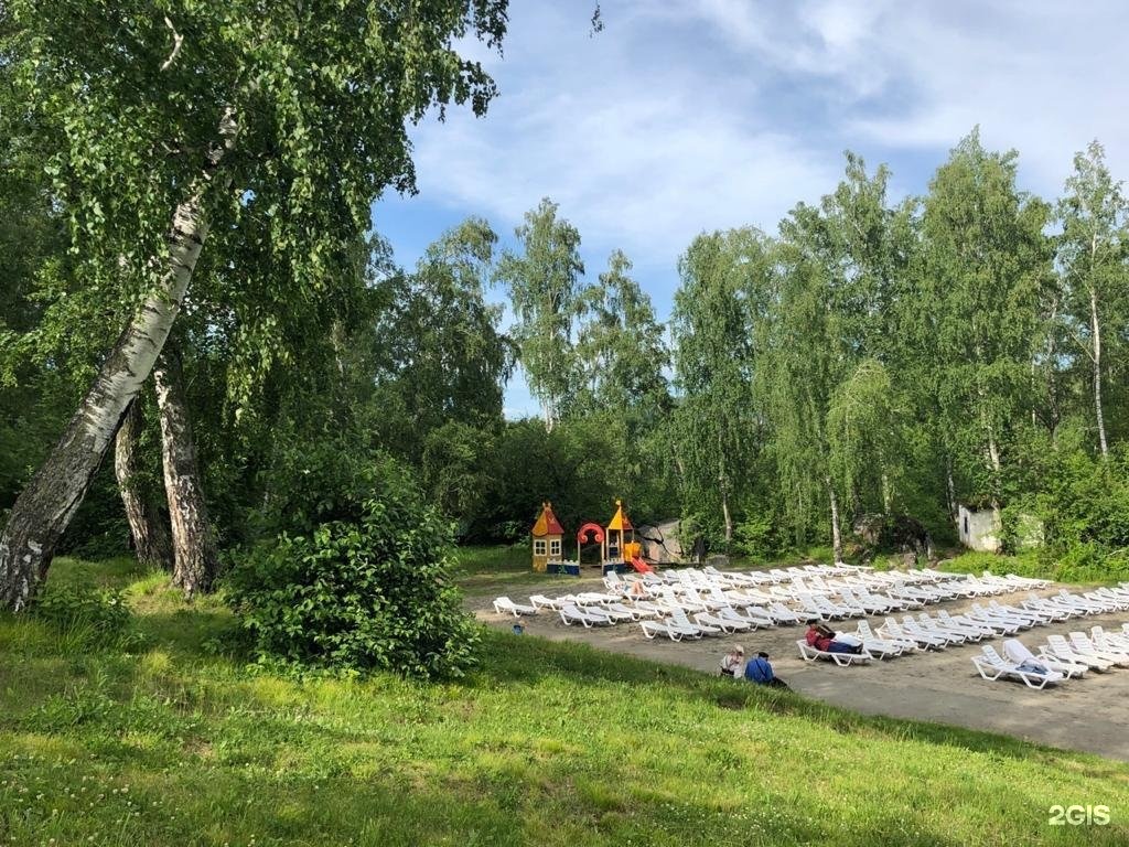 Берёзка - фото 65