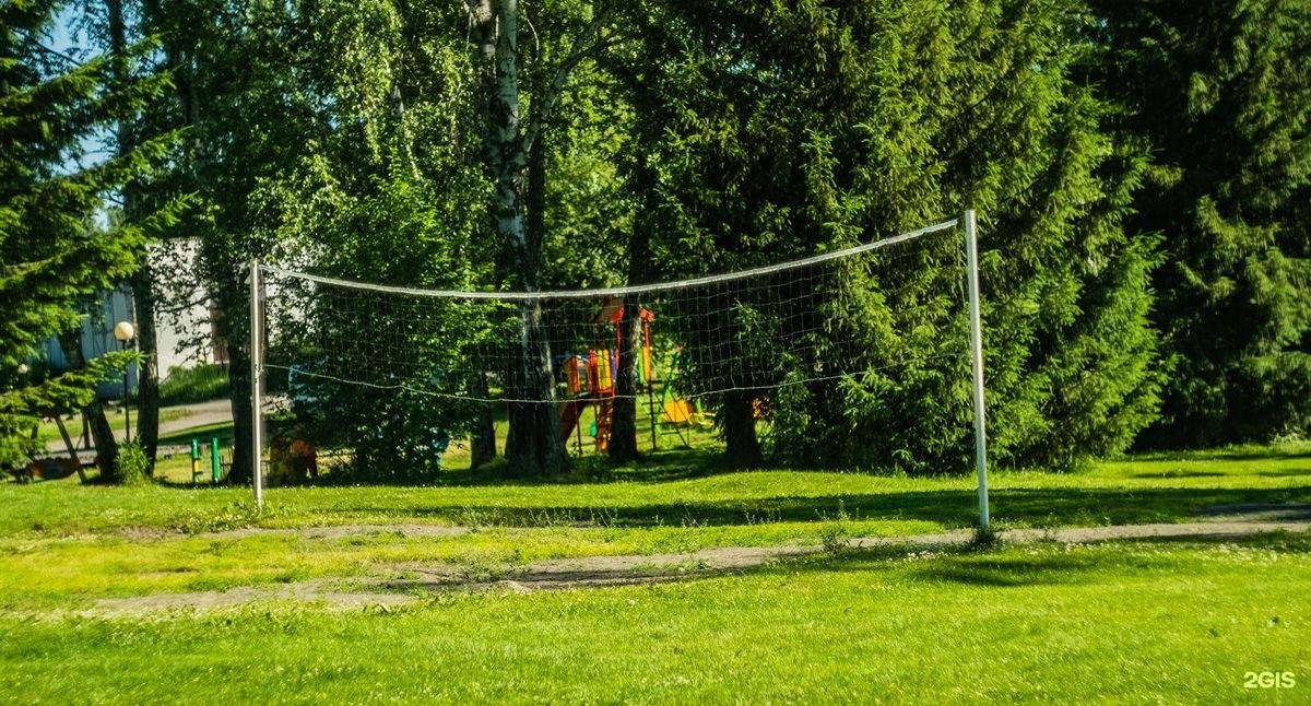 Берёзка - фото 69