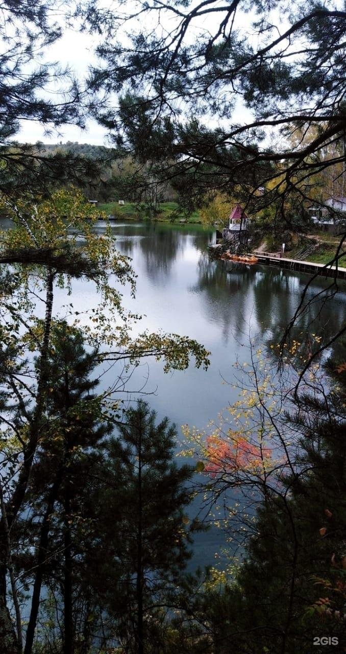 Берёзка - фото 75