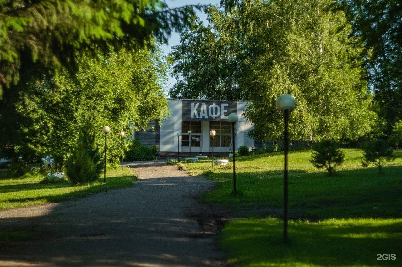 Берёзка - фото 77