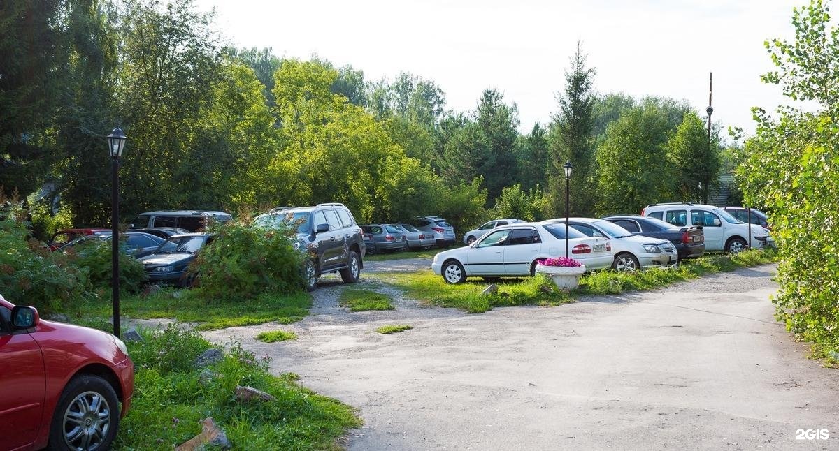 Берёзка - фото 81