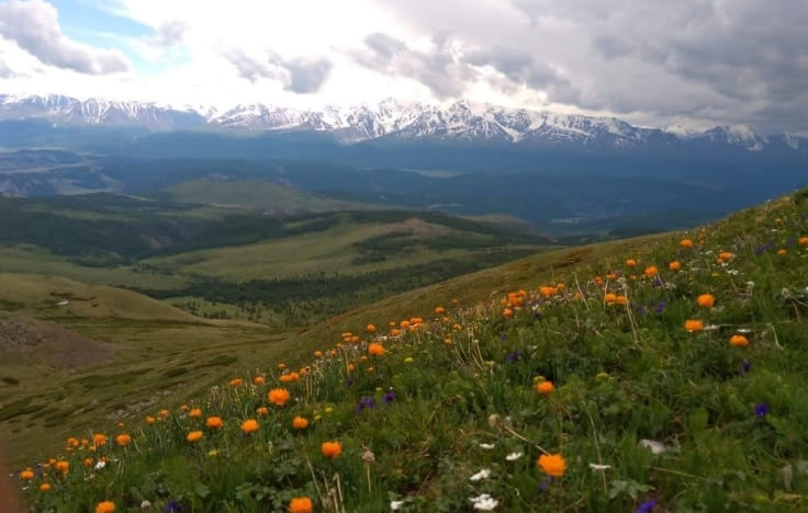 Комбинированный тур: «Курайские истории» - фото 2