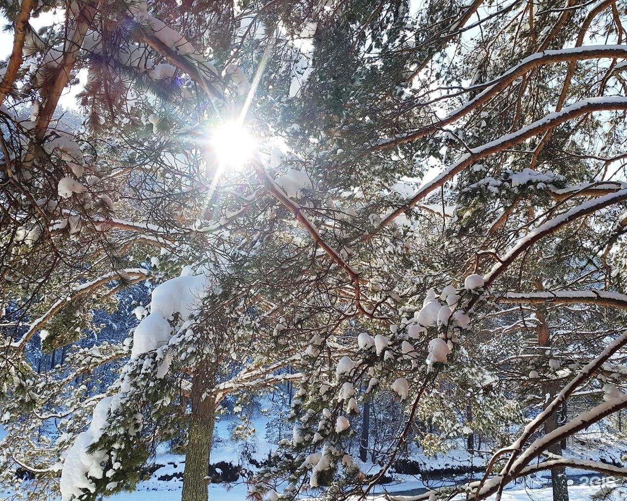 Островок - фото 32