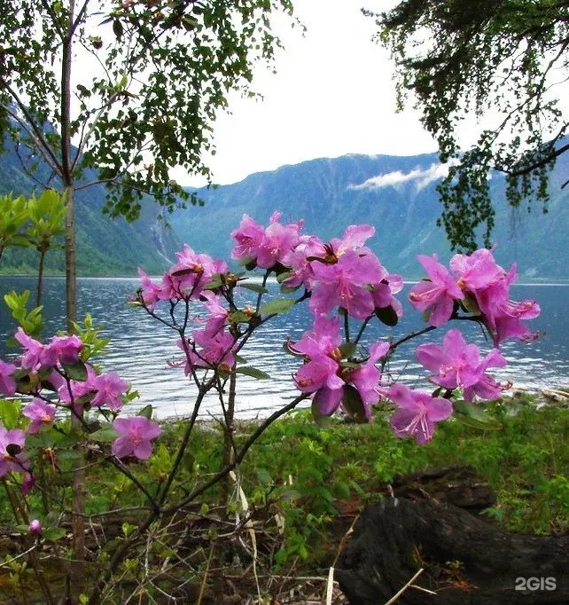 Алтын-Кёль - фото 34